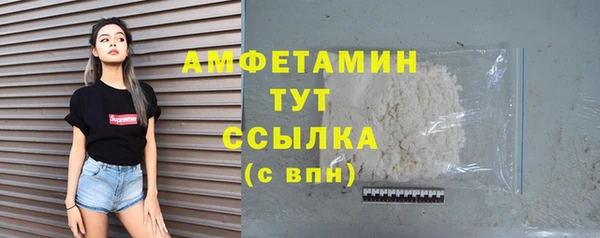 индика Киреевск