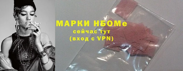 индика Киреевск
