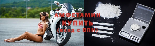 индика Киреевск