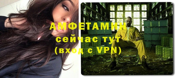 индика Киреевск