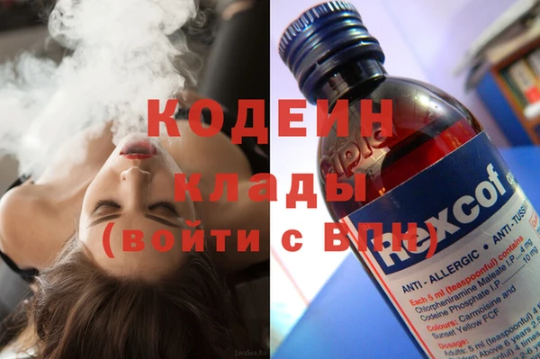 индика Киреевск