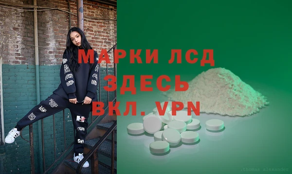 индика Киреевск