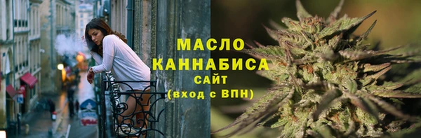 индика Киреевск