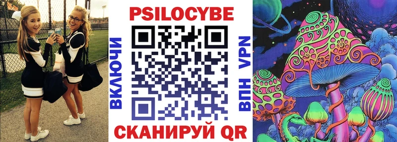 цены наркотик  Сухиничи  Галлюциногенные грибы Psilocybine cubensis 